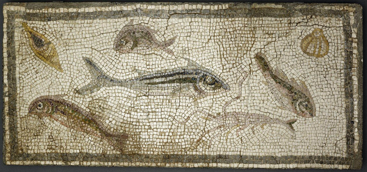 魚を示すモザイクパネル、おそらく西暦3世紀 作： 小説