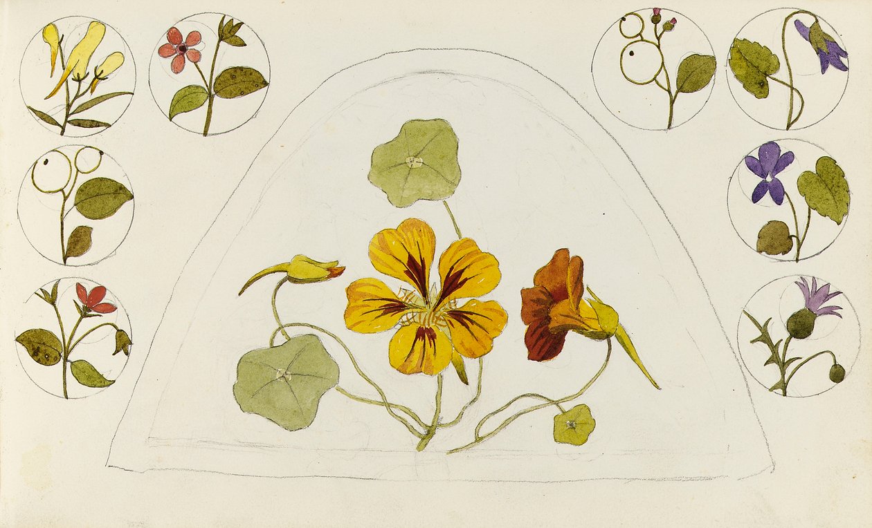 ナスタチウムとその他の花を使ったデザイン 作： ピンクボード