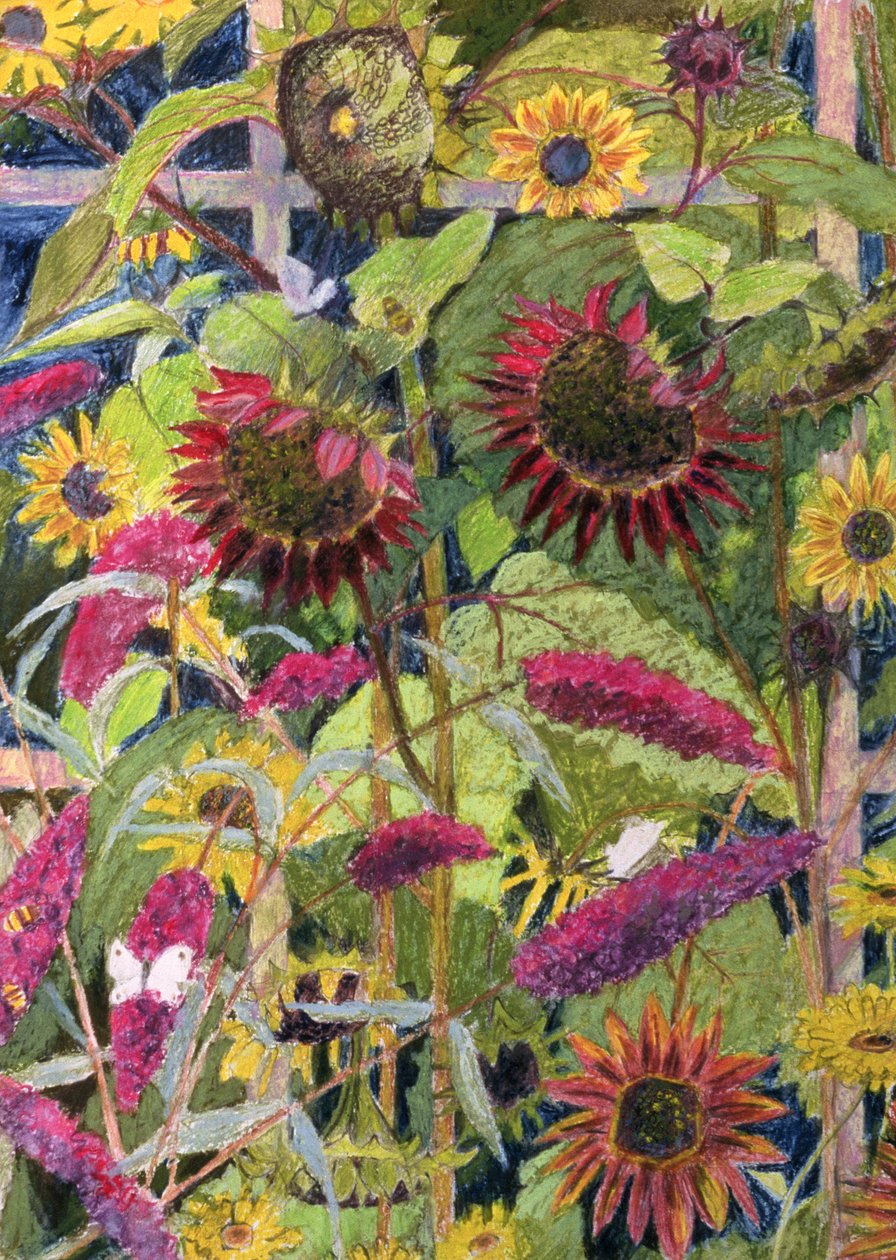 太陽の花（紙に油とパステル） 作： ロザリー・ブロック
