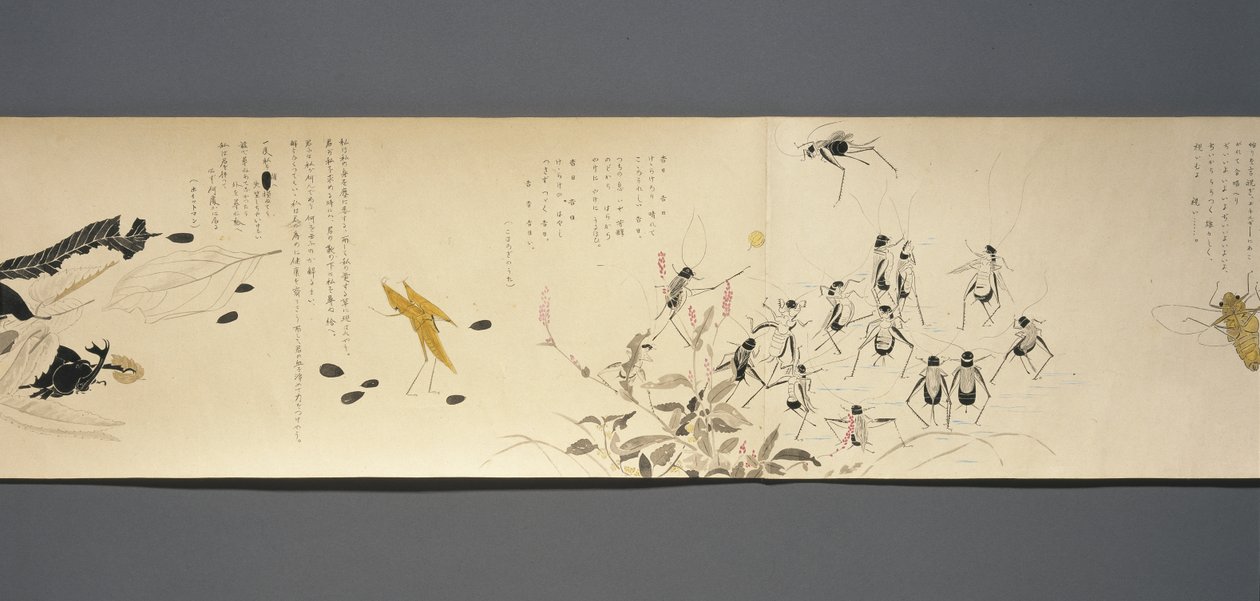 野生生物のともだち（やさいのとも）、大正時代、大正7年、1918年頃（雲母で飾られた紙の上にインクとトイレ） 作： 川上涼香