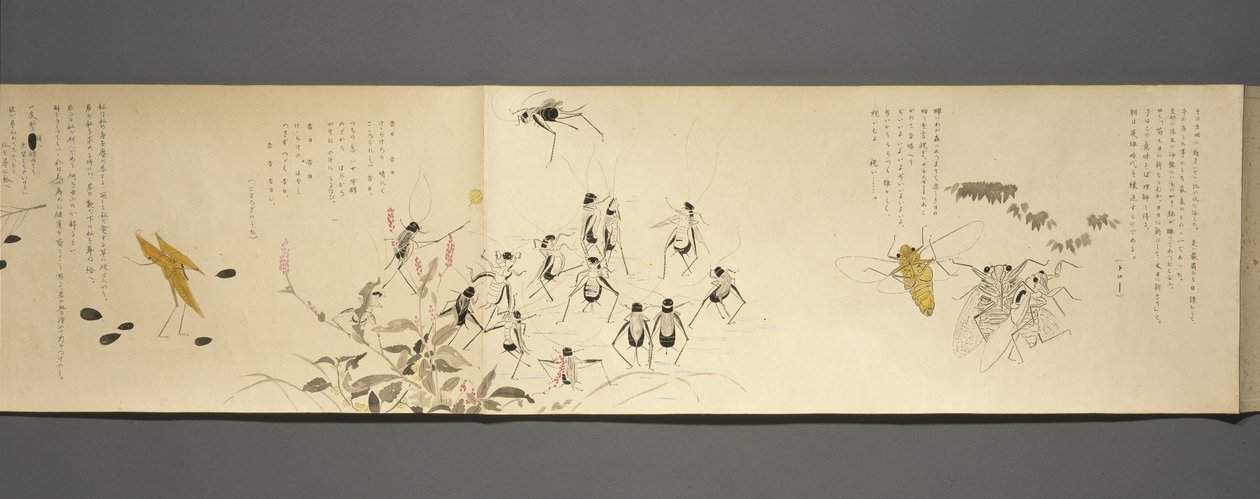 野生生物のともだち（やさいのとも）、大正時代、大正7年、1918年頃（雲母で飾られた紙の上にインクとトイレ） 作： 川上涼香