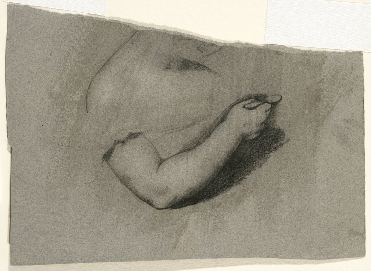 1824年のメアリーホーンの肖像画の研究（グレーブラウンの織り紙に木炭と白いチョーク） 作： サミュエル・フィンリー・ブリーズ・モールス