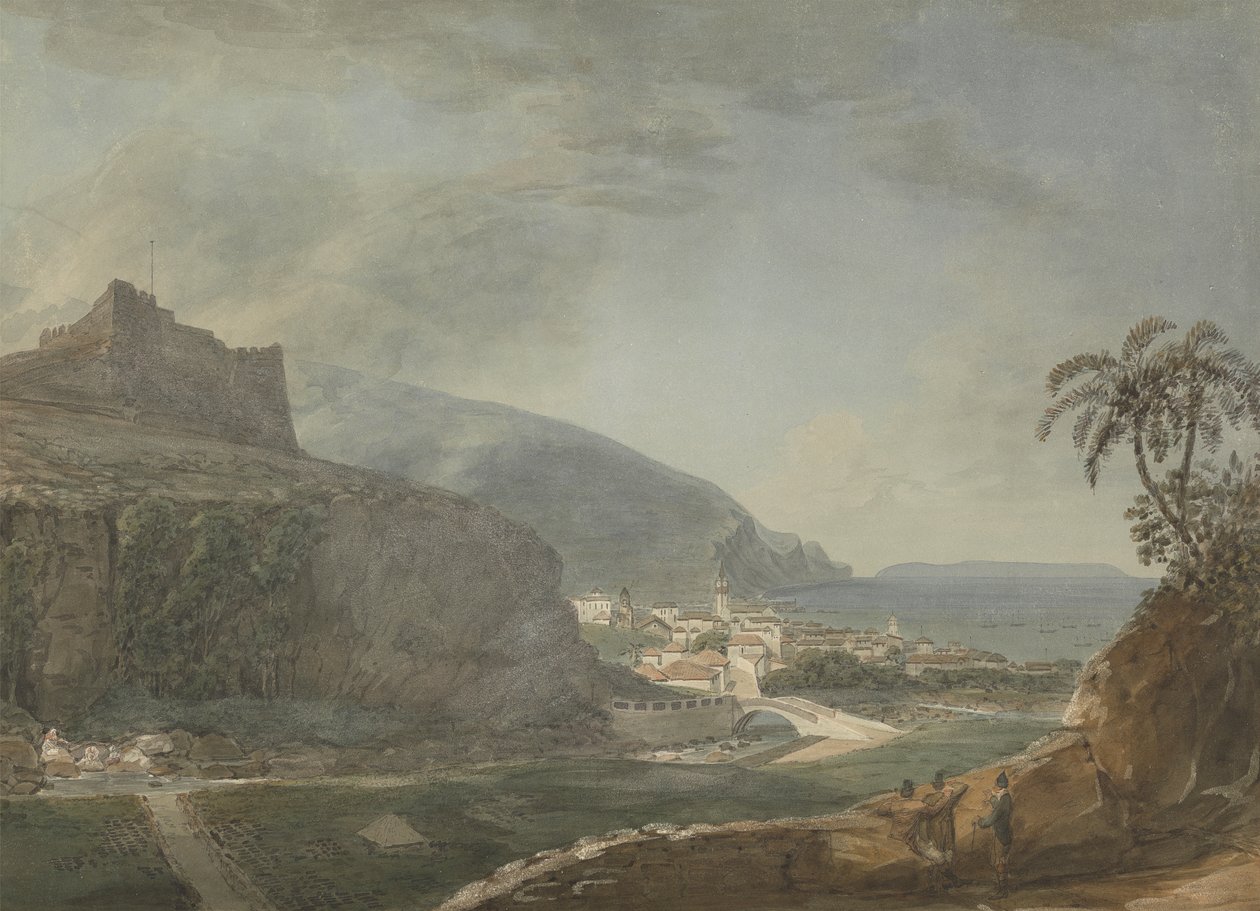 Funchalin linna Del Oiso (?), Madeira 作： サミュエル・デイビス