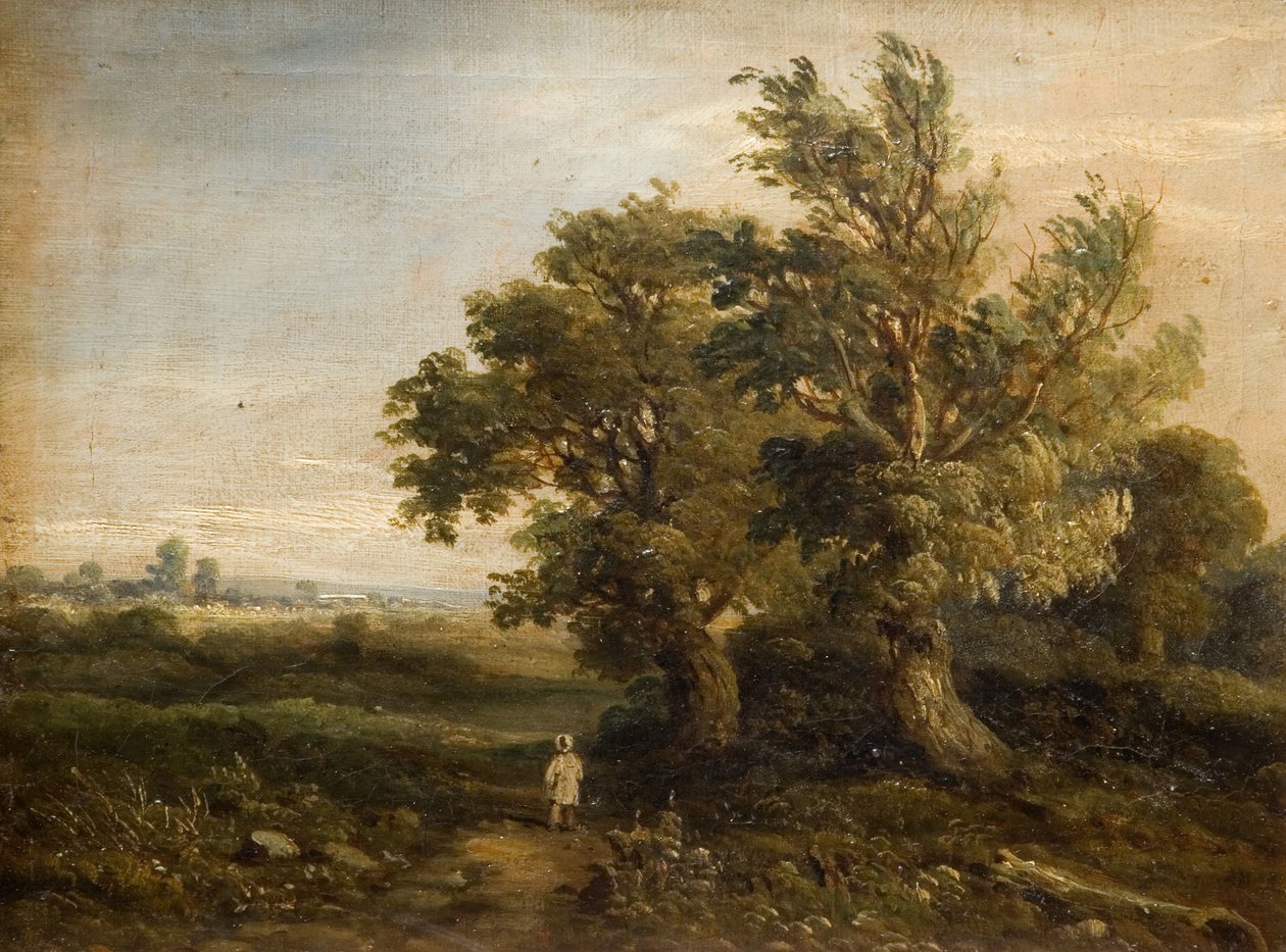 木との風景、1863。 作： サミュエル・レステル夫人