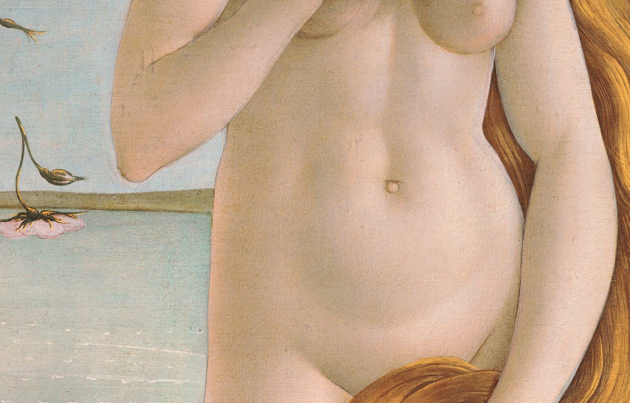 金星の誕生、金星の胴体の詳細、1484テンペラのキャンバスの詳細 作： Sandro Botticelli