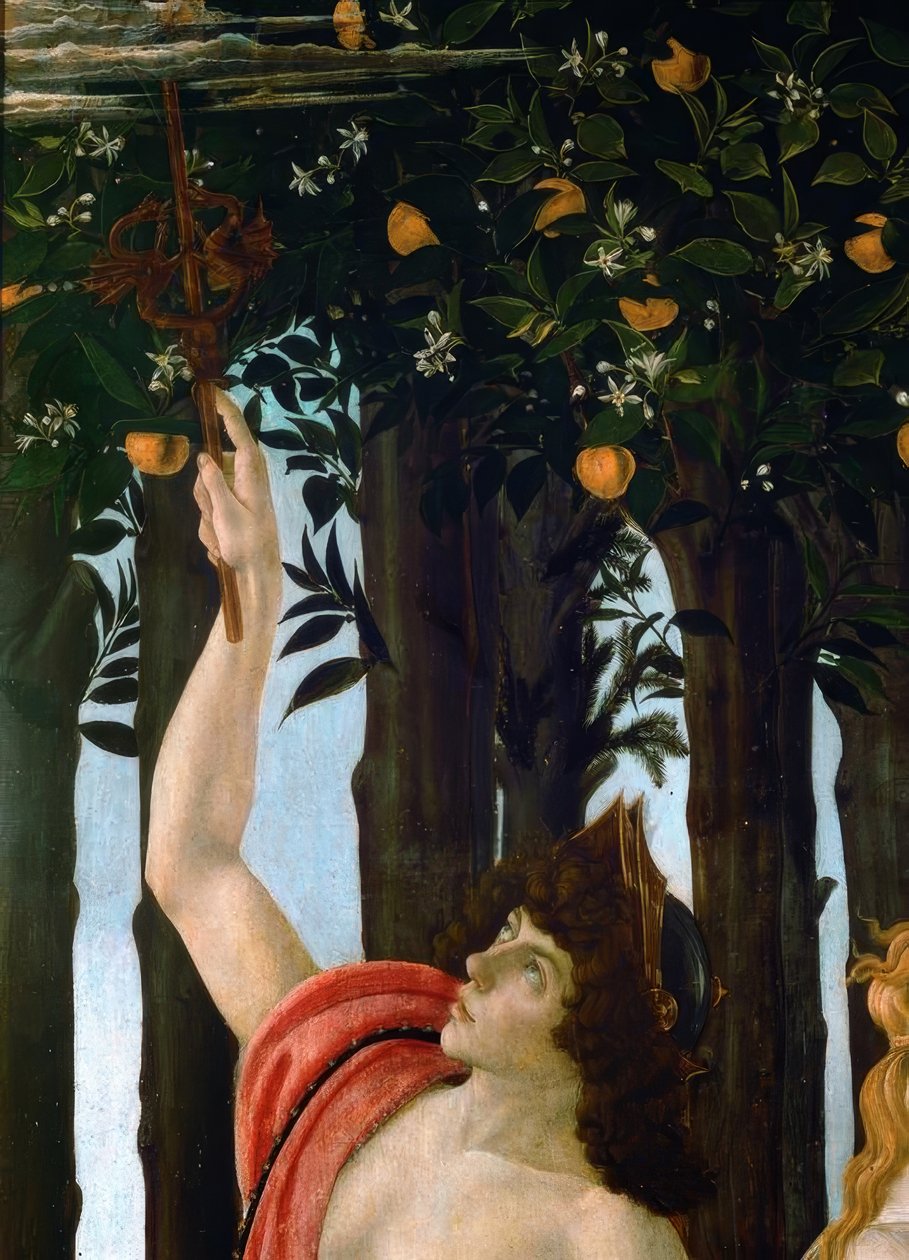 春 作： Sandro Botticelli