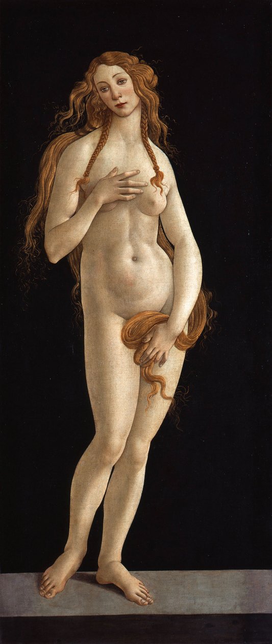 ドイツ語：Venus ヴィーナス 作： Sandro Botticelli