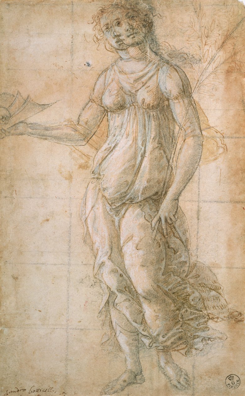 アテネの研究（ドローイング） 作： Sandro Botticelli