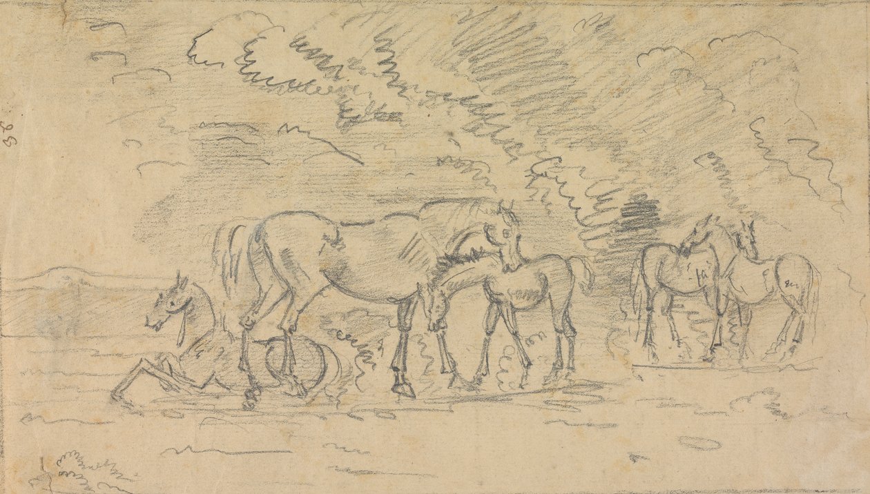 Cavalos em um prado 作： ソーリーギルピン