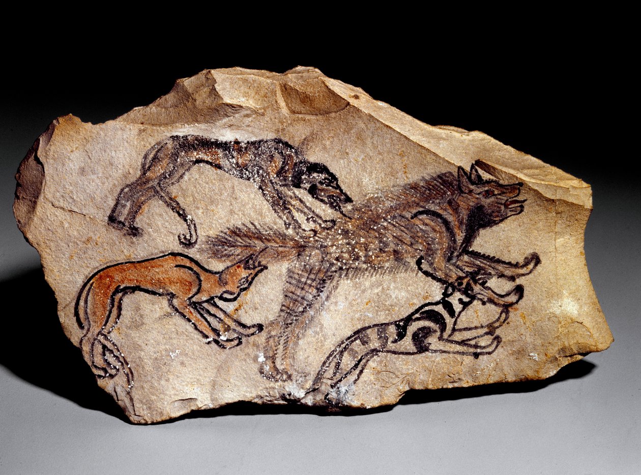 ハイエナを狩る犬（石刻、紀元前1300～1100年頃 作： 学校エジプト人