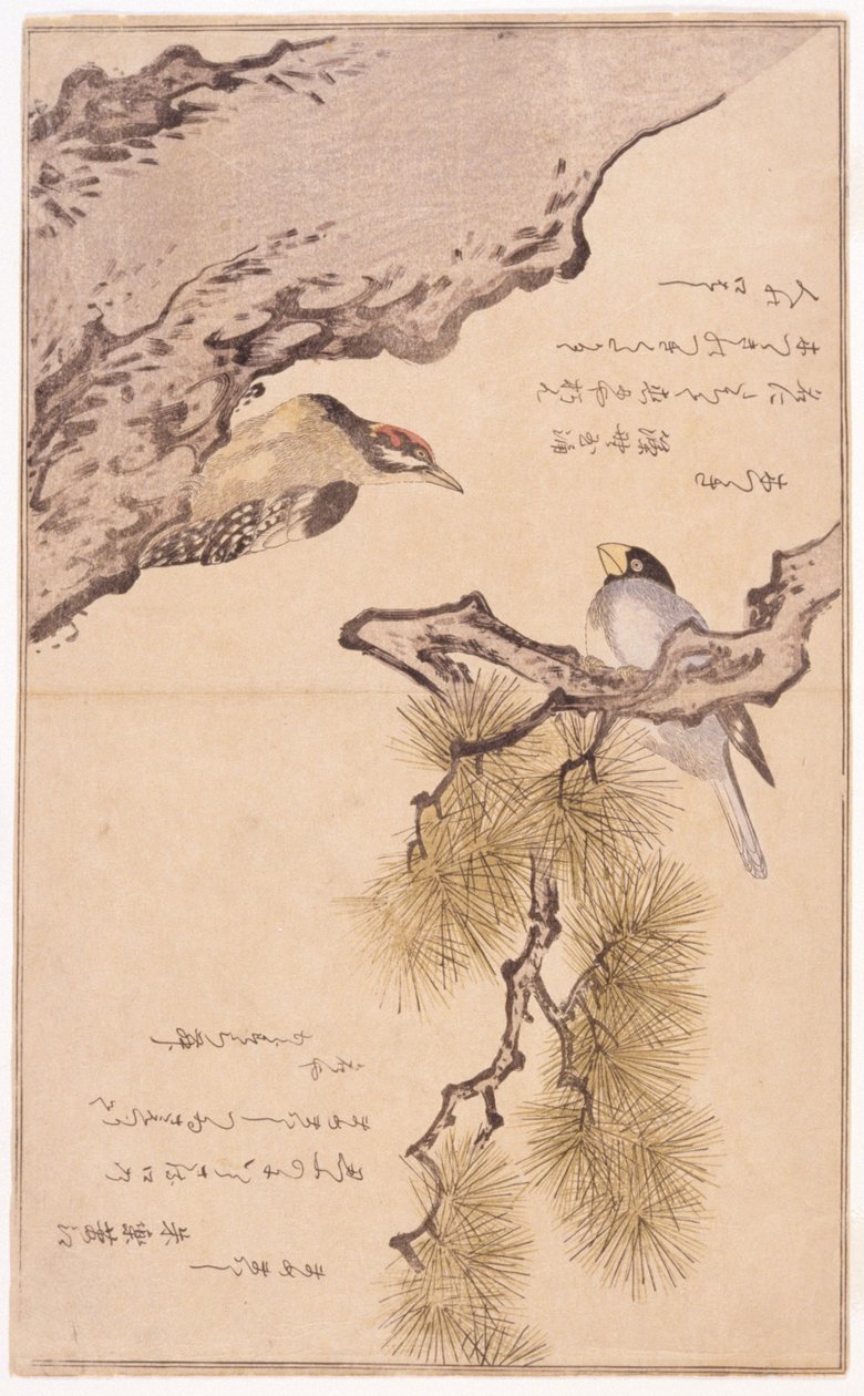 木の上の二羽の鳥 作： 学校日本語