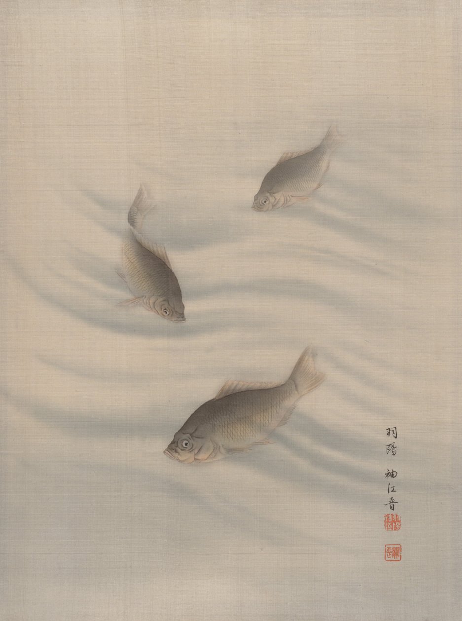 魚の水泳、カリフォルニア州。 1890-92。 作： 関秀子