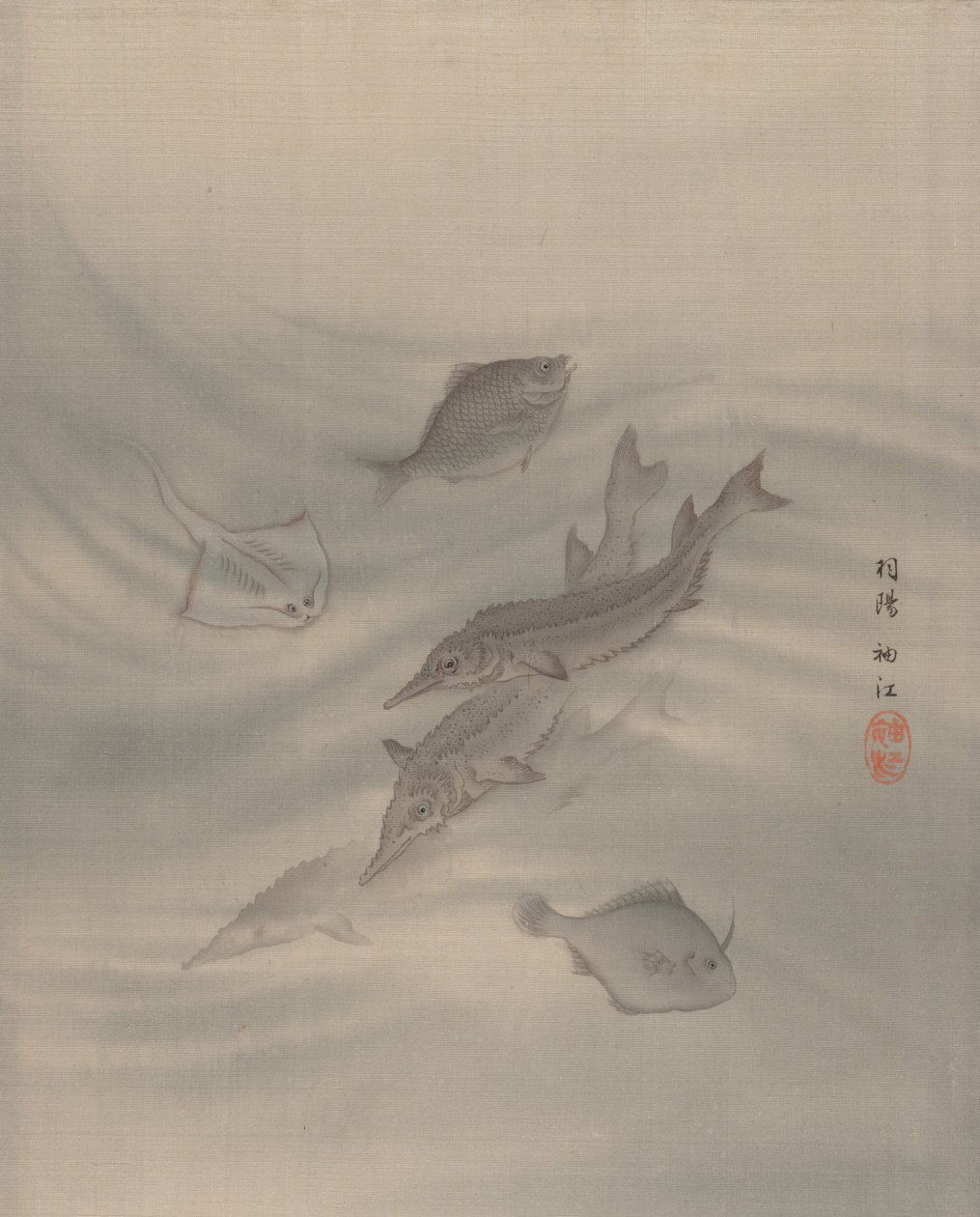 魚、カリフォルニア州。 1890-92。 作： 関秀子