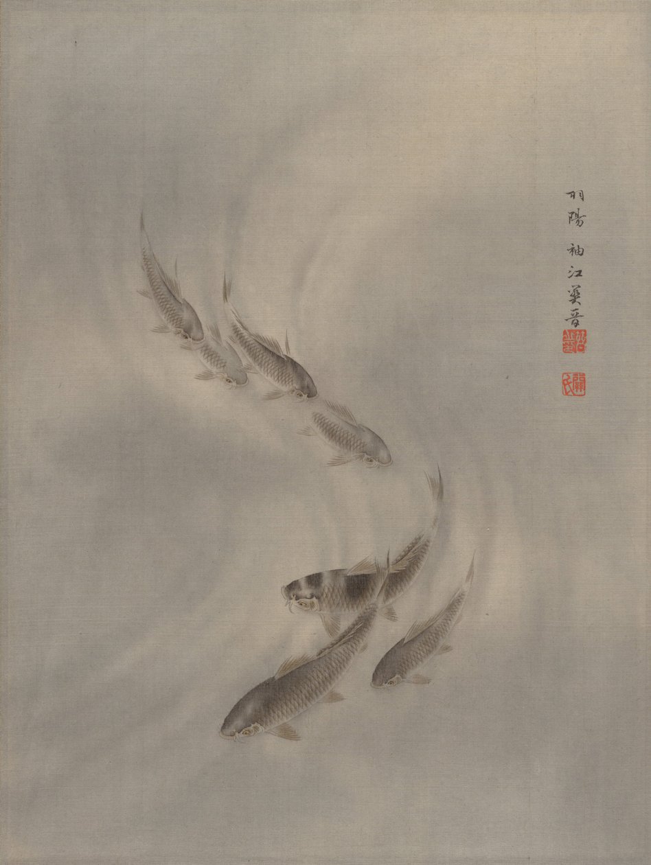 魚群、カリフォルニア州。 1890-92。 作： 関秀子