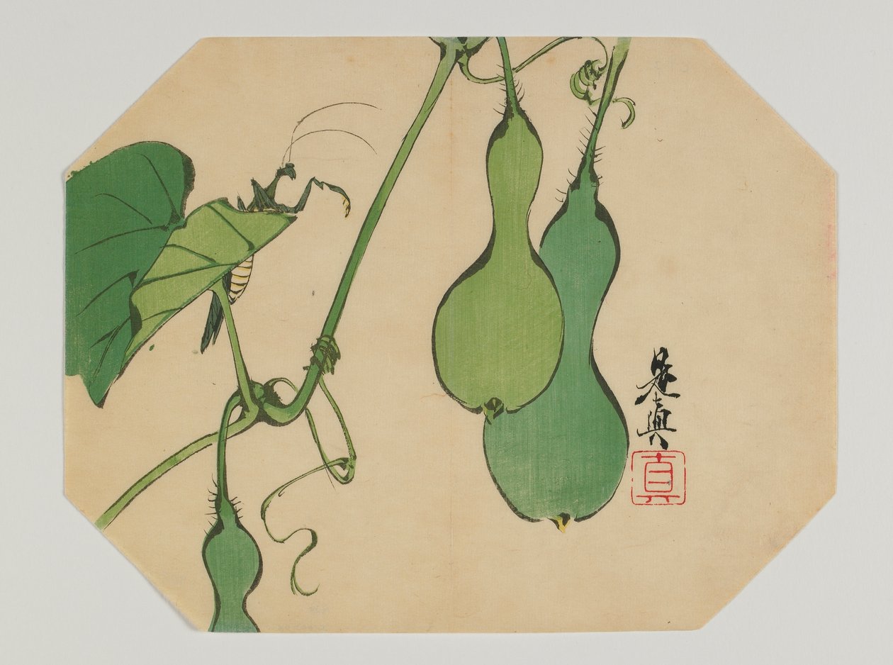 うちわ、カマキリのひょうたん、明治19世紀後半の版画（色木版画） 作： 柴田絶心