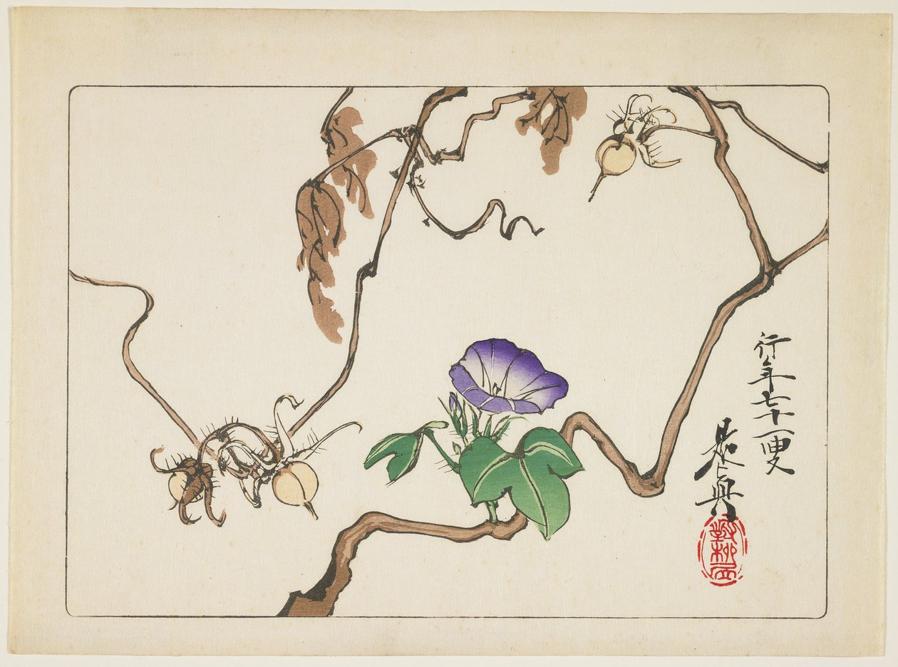 つるとアサガオの種1877 作： 柴田絶心