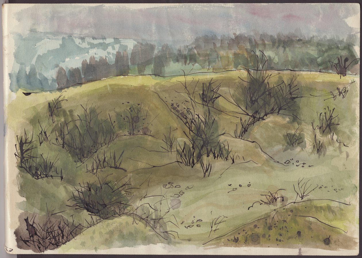 茂みのある風景、イタリア、c1950。 作： シャーリー・マーカム