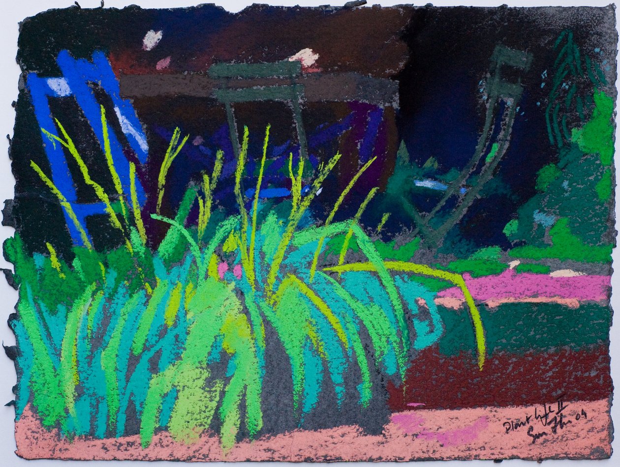 植物の生活（紙にパステル） 作： サイモン・フレッチャー