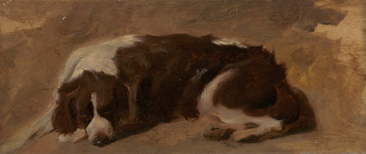 A Spaniel Lying Down   1432475   ja       japanese Successfully Translated  Original: Christopher Columbus letter Translat: Christopher Columbus