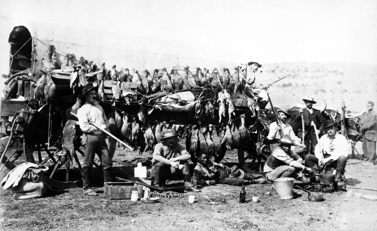 射撃遠征から帰国、南アフリカ、1895年 作： 南アフリカの写真家