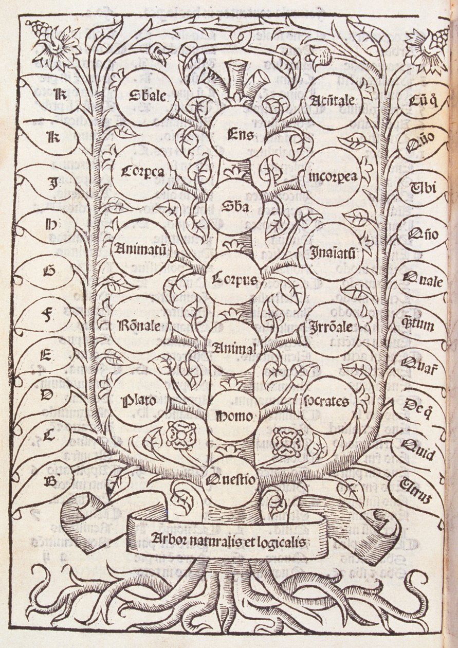Ramon Llull（c.1235-1316）c.1512の「De Nova Logica」からの天体のはしご 作： スペイン語学校