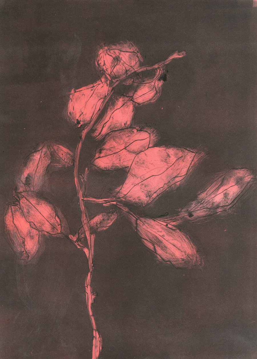Foliage I, 2015（モノプリント、紙） 作： スティーブン・ダウ