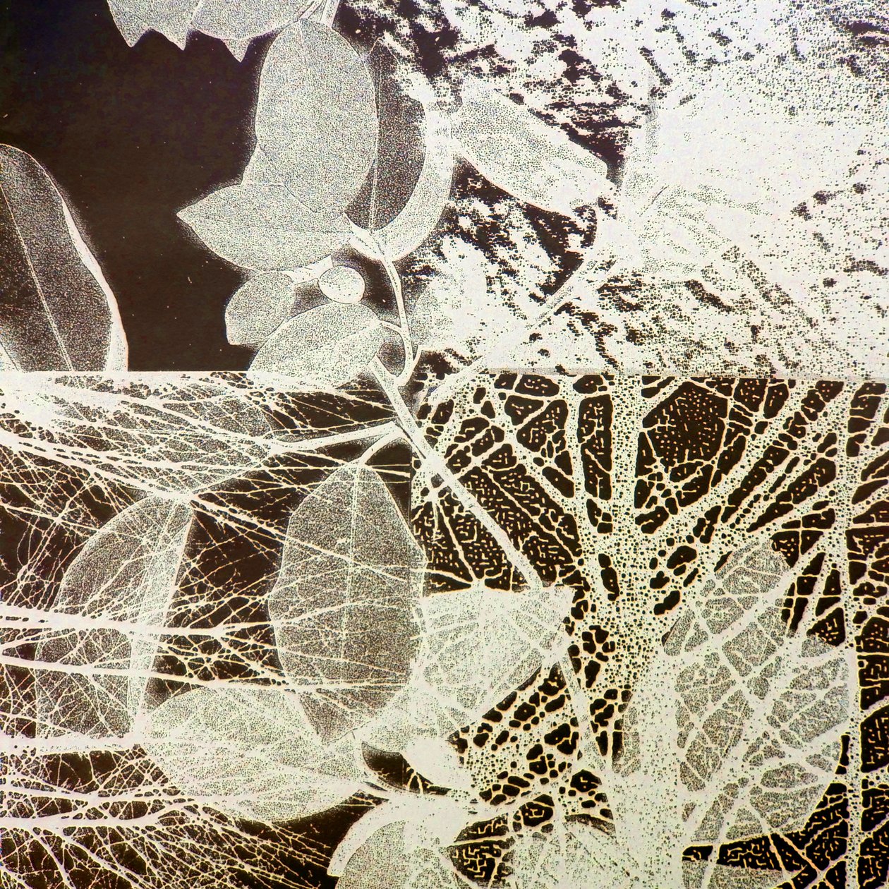 夜の森、2018年（デジタル） 作： スティーブン・ダウ