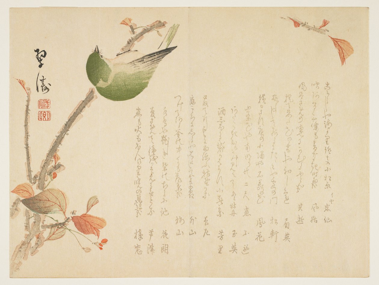 枝にとまるナイチンゲール（木版画カラー） 作： スーツ