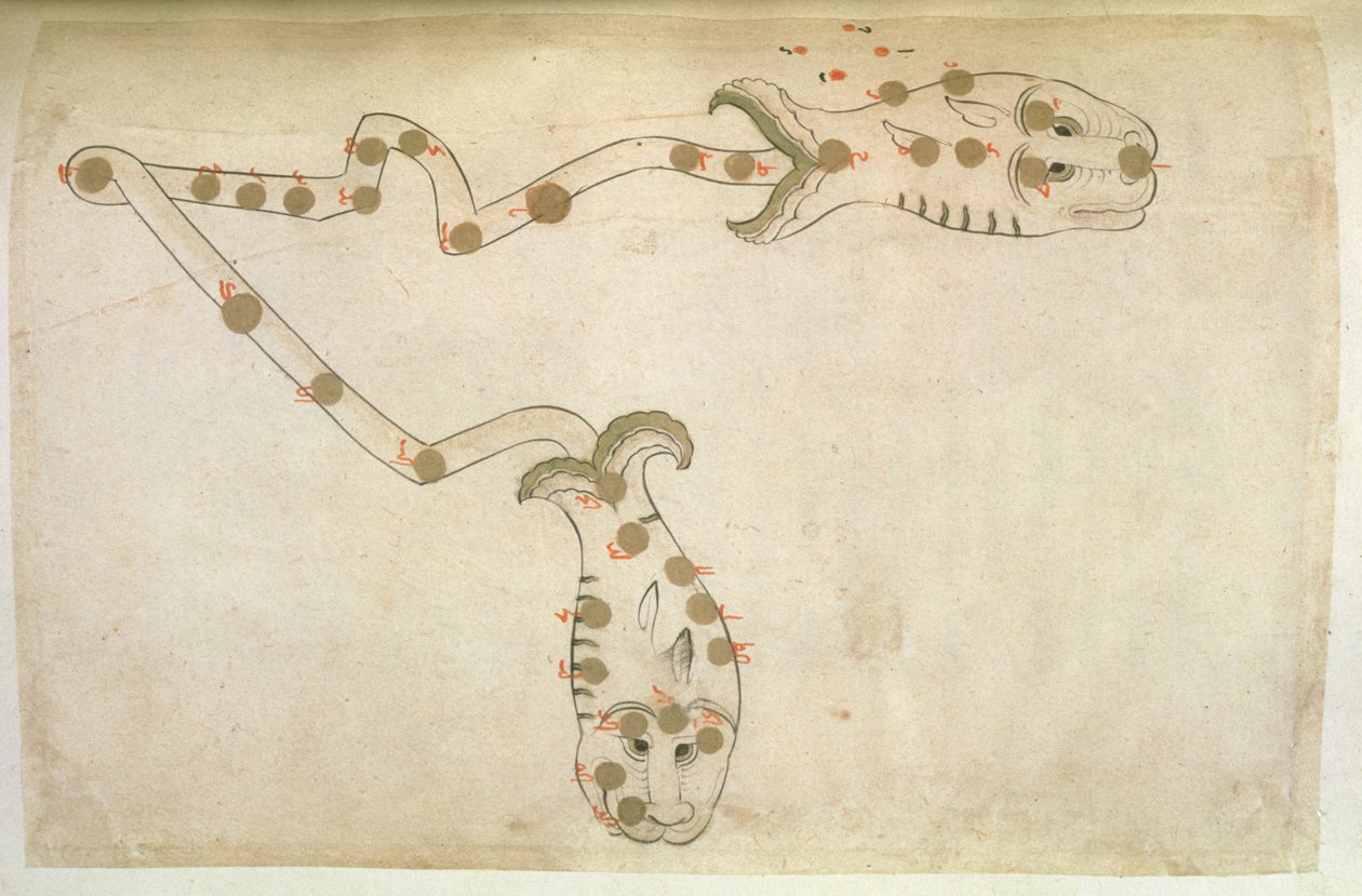 黄道帯の表現：うお座、魚、1497-1498（903ヒジュラ） 作： スバール・アル・カバキブ