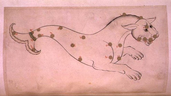 星座の紹介くじら座 作： スバール・アル・カバキブ