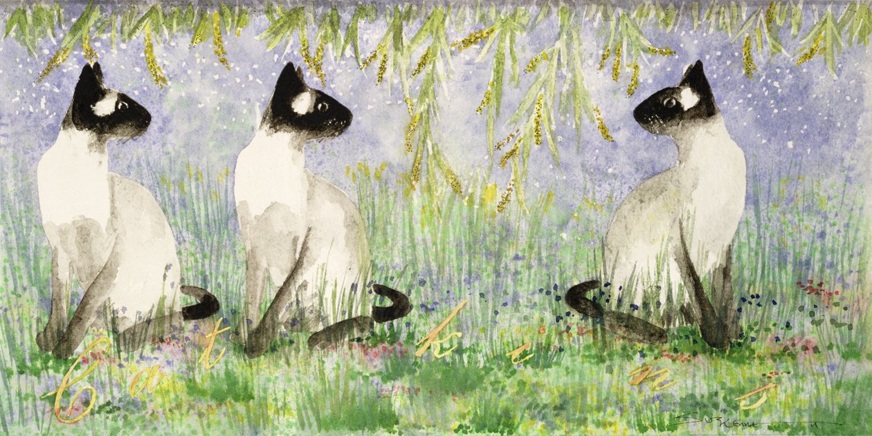 猫の種類（紙にトイレ） 作： スージ・ケネット