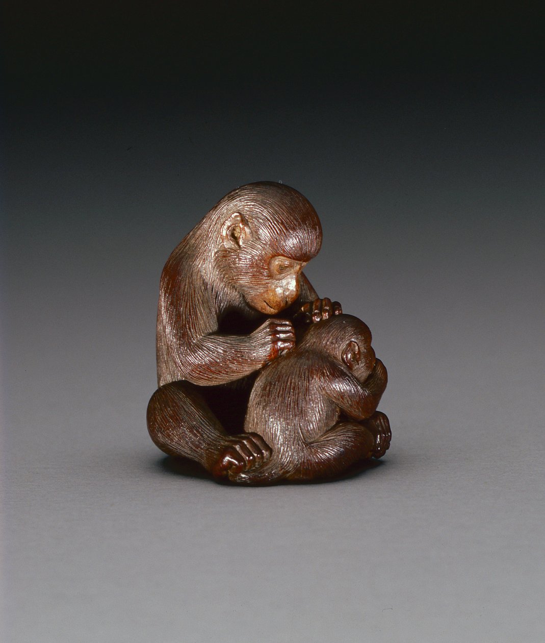 母猿と息子を描いた根付、1880〜1900年頃（木）（裏面は208393を参照） 作： 鈴木徳久