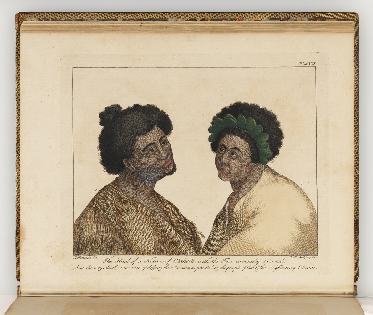 オタヘイト出身の頭、南洋航海記からの挿絵：陛下の船、エンデバー号、1794年（手描きの彫刻） 作： シドニー