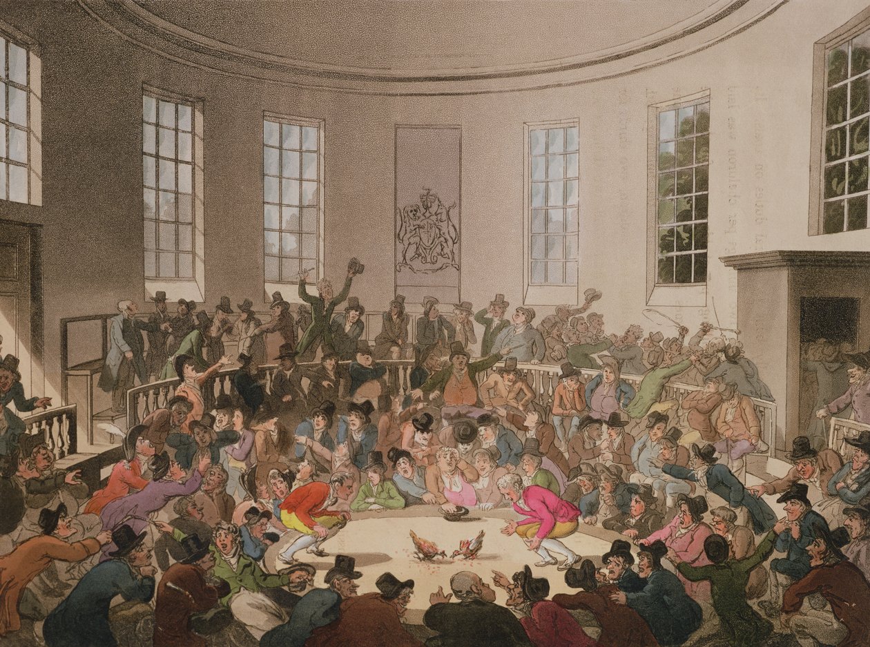 ロイヤルコックピット、1808年、ジョンブラック（fl.1791-1819）によって彫刻 作： プギンとローランドソン