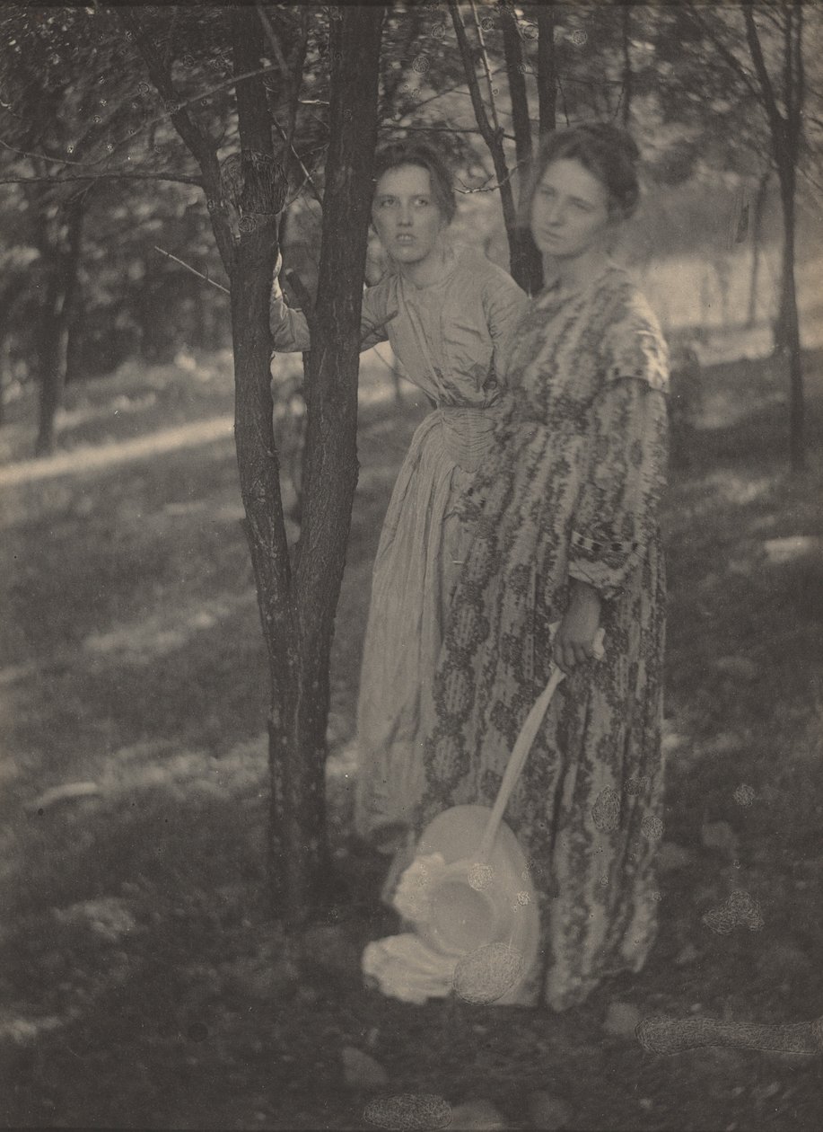 森の中で,c.1899年（写真） 作： TM エジストン