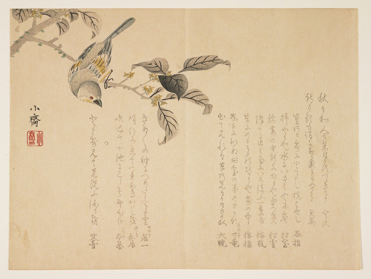 枝に鳥（色木版画） 作： 田村村彩