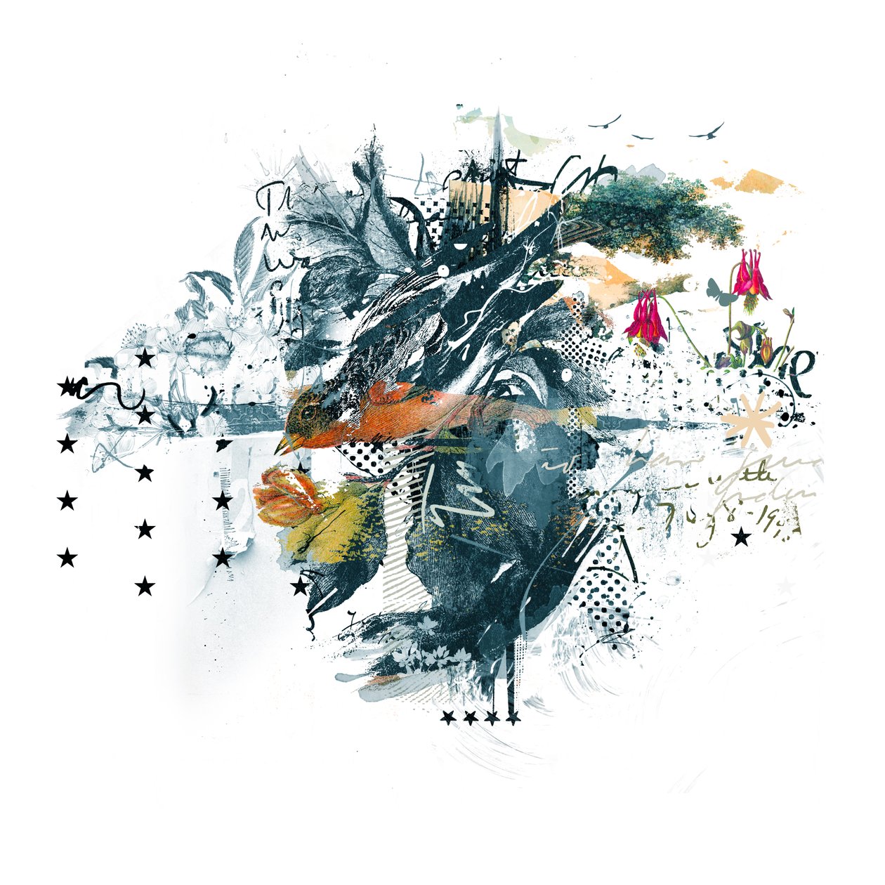 猛禽類、2015年（キャンバスにコラージュ） 作： Teis Albers
