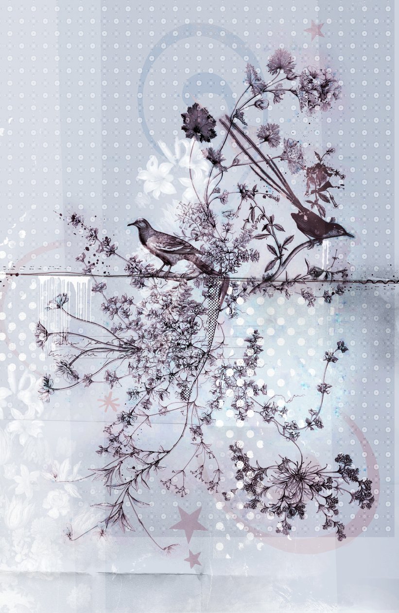 鳥の枝、2015年（キャンバスにコラージュ） 作： Teis Albers