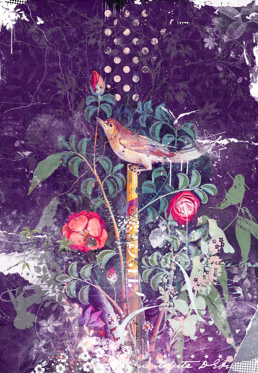 ポンペイの鳥、2014年（キャンバスにミクストメディア） 作： Teis Albers