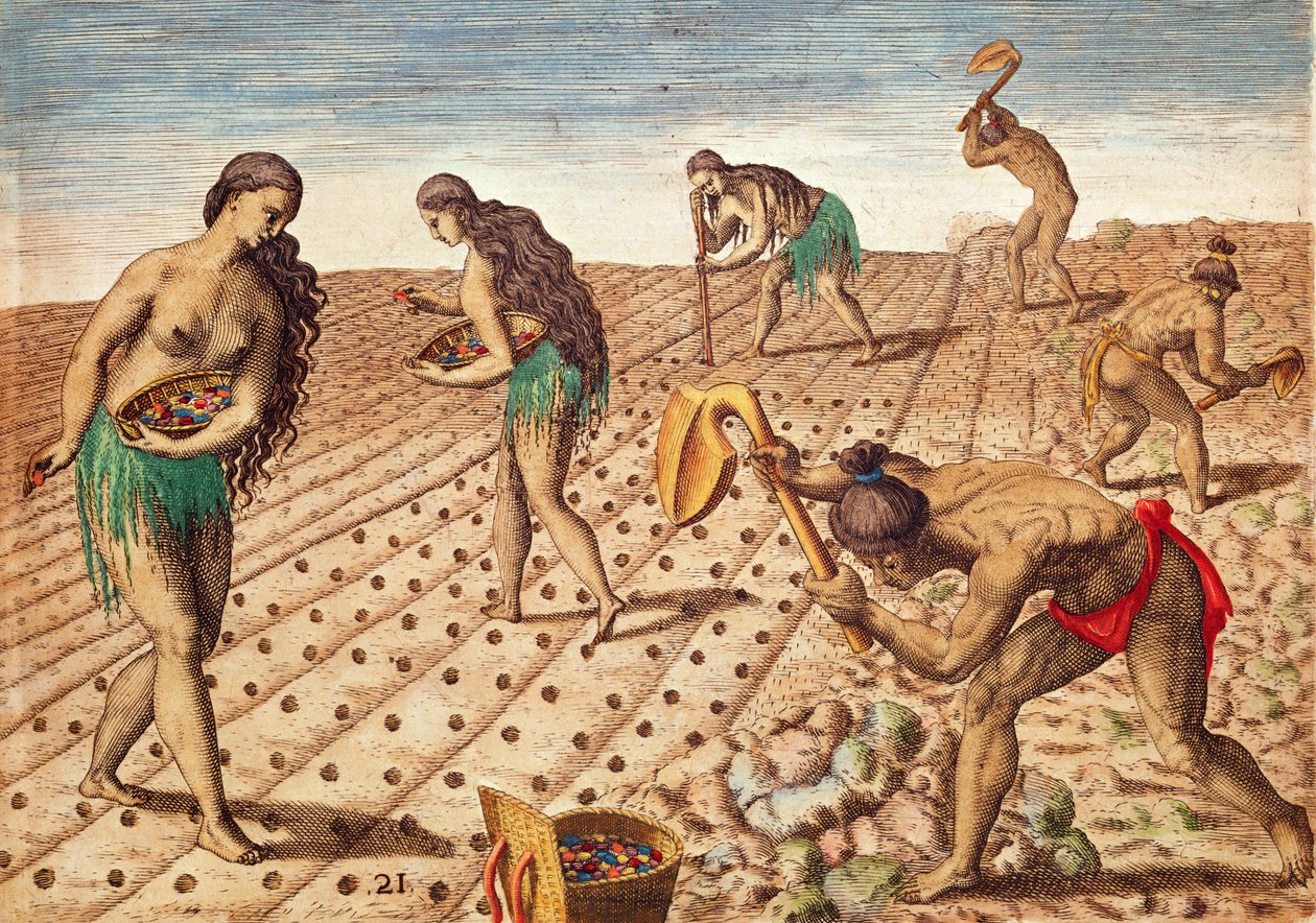 ブレビスナラティオ、文化と種まき、1563年（カラー彫刻） 作： セオドア・ド・ブリー