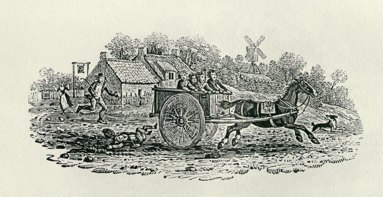 &39;Land Birds、c。 1797（木の彫刻） 作： トーマス・ビウィック