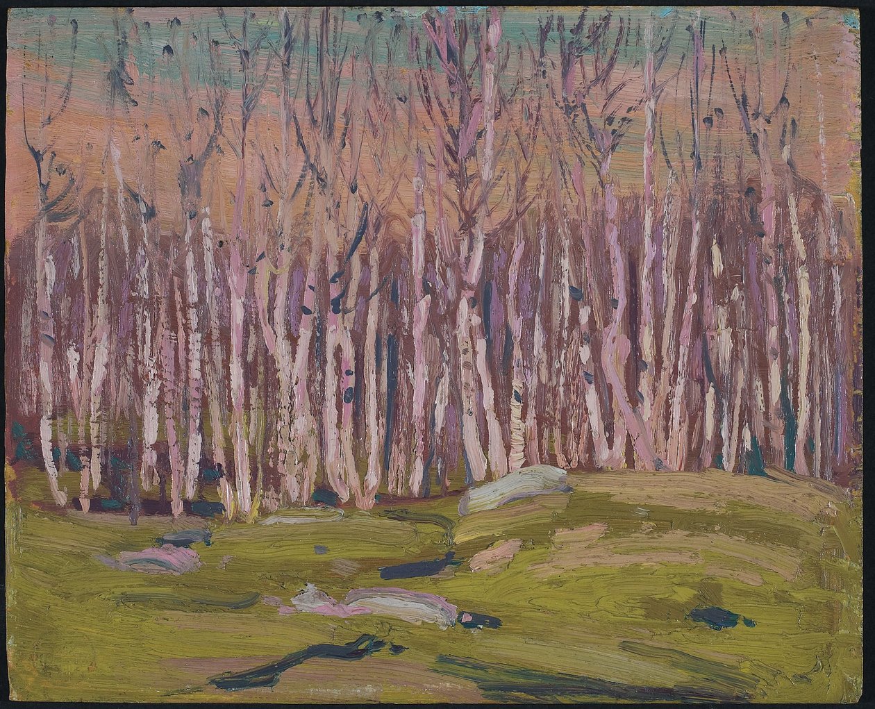シルバーバーチ、c.1915（木製パネルに油彩） 作： トム・トムソン