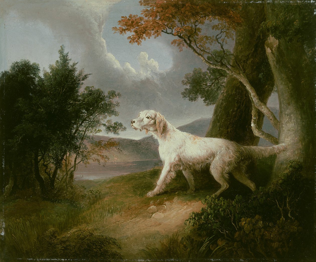 犬のいる風景 作： トーマス・ダウティ