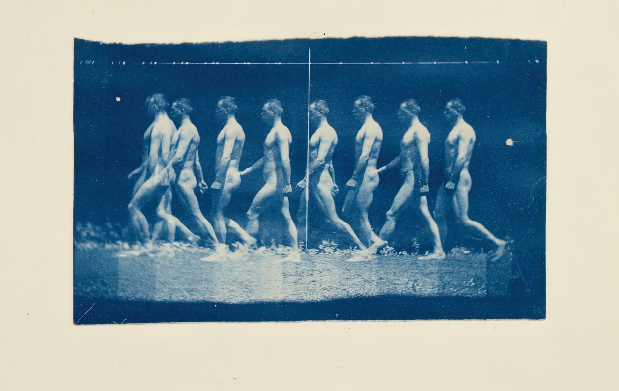マレー ホイール ジェシー ゴドリーの写真、1884 年。 作： トーマス・イーキンズ