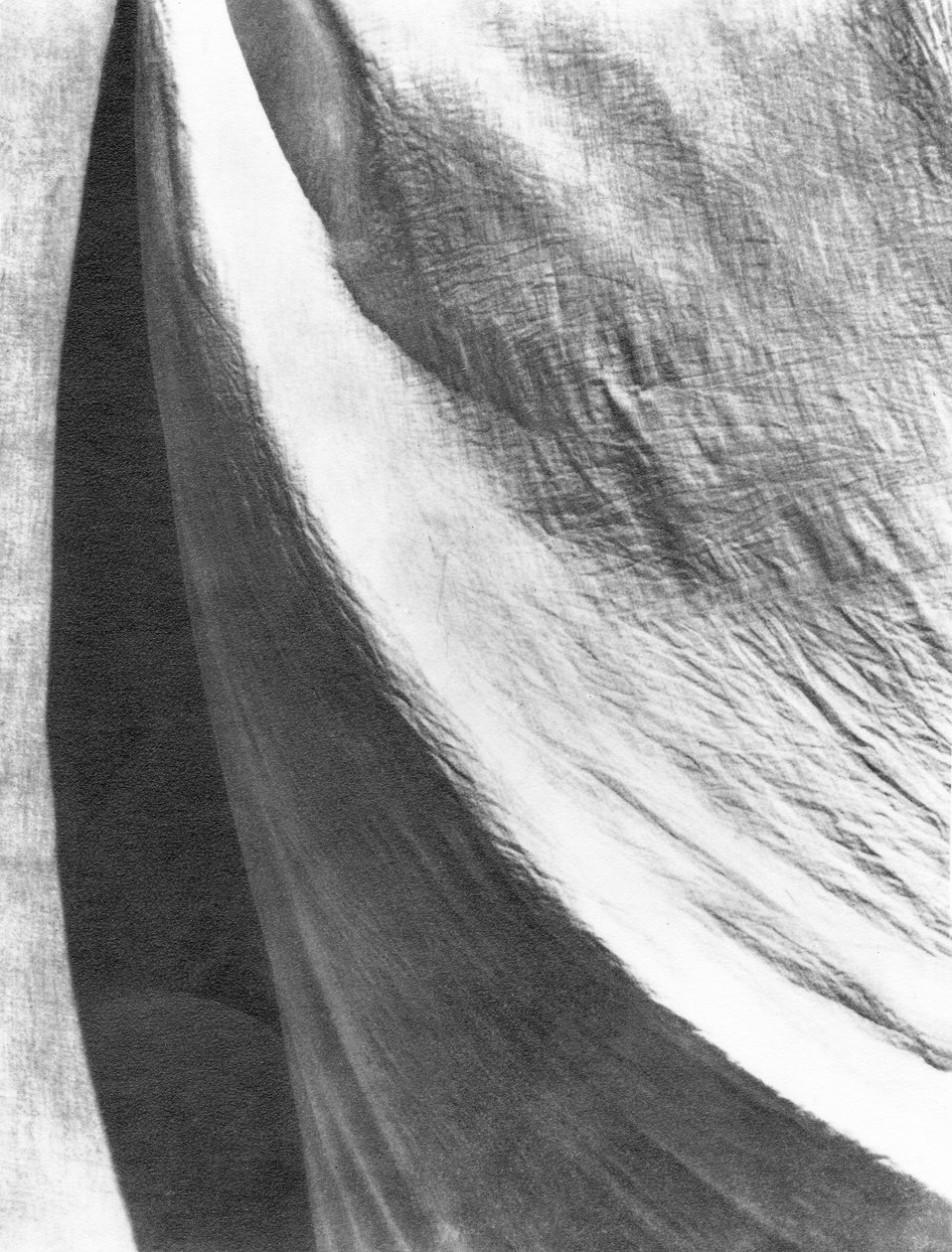 布、メキシコ、1924 作： ティナ・モドッティ