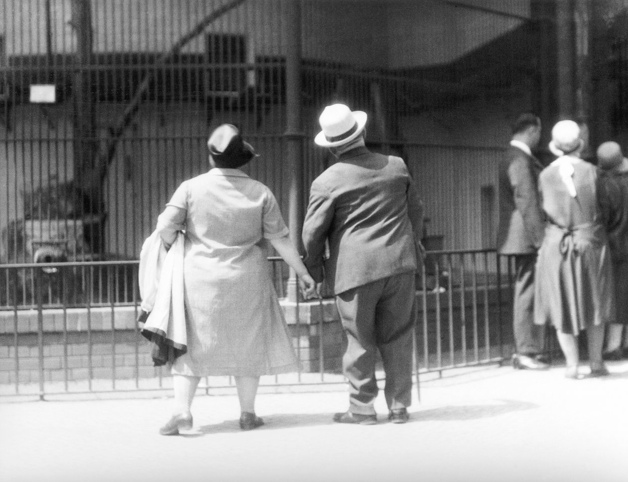動物園で、ドイツ、ベルリン、1930 作： ティナ・モドッティ