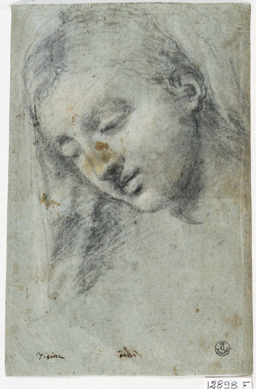 女の頭（木炭、紙） 作： ティツィアーノ (c.1488-1576)