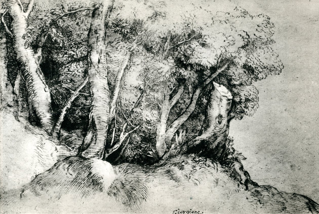 森の風景、c1516-1518、1937 作： Tiziano Vecelli