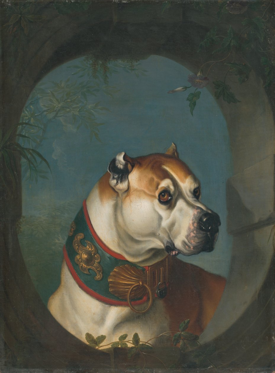 犬の肖像画 作： 不明不明