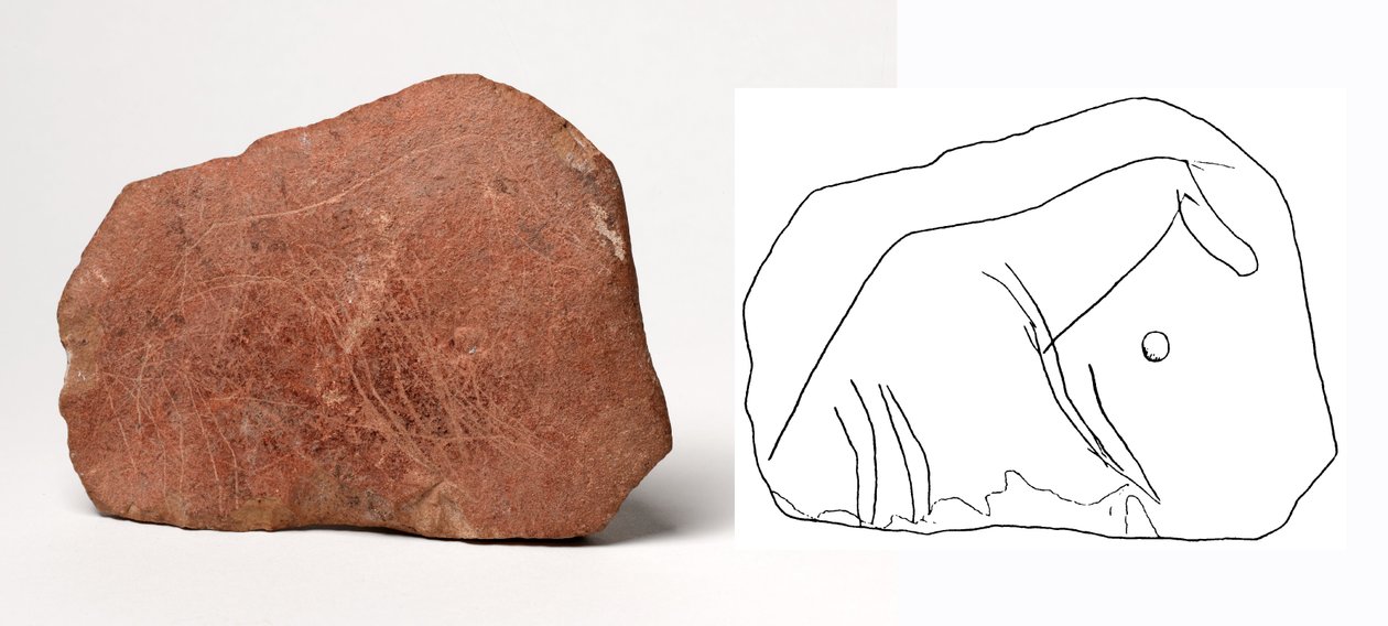 石灰岩のプラークに刻まれた馬のモチーフ 作： 不明不明